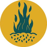 Pictogramme de flammes avec des granules à la base