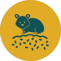 Pictogramme d’un petit animal sur litière végétale