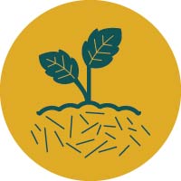 Pictogramme de paillage végétal au pied d’un plant